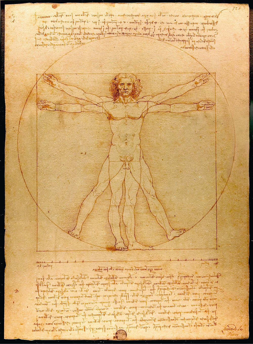 O homem vitruviano de Leonardo da Vinci (1490) - síntese do ideário renascentista - humanista e clássico.