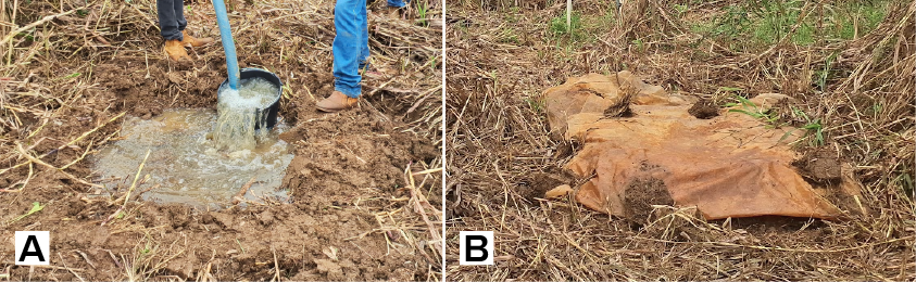 Duas fotos mostram o teste de determinação da Capacidade de Campo (CC): na imagem à esquerda (5A), o solo está sendo saturado com água, formando uma bacia. Na imagem à direita (5B), a bacia está coberta com lona plástica segurada por pedras pontuais em suas bordas.